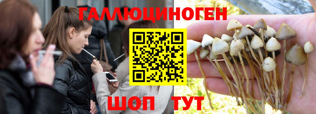 Псилоцибиновые грибы ЛСД Ахтубинск
